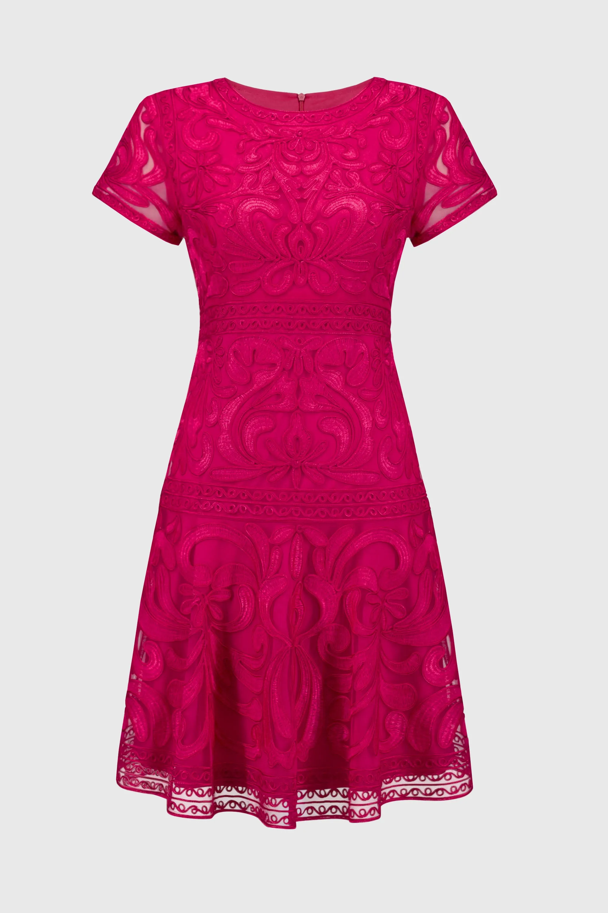 Embroidered Mesh Fit and Flare Dress